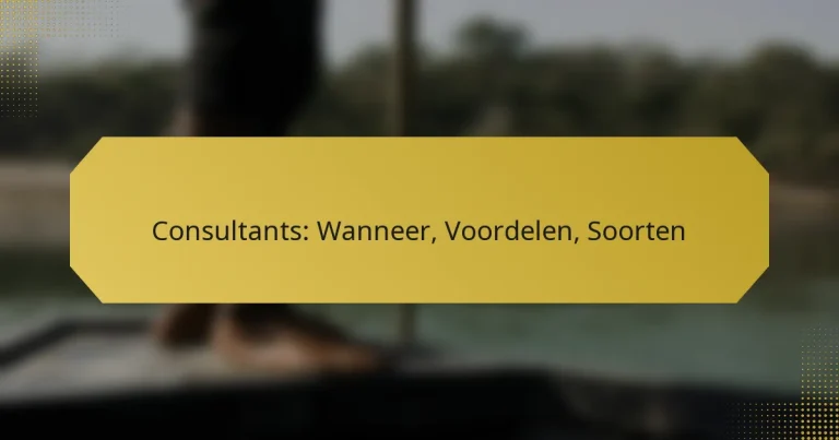 Consultants: Wanneer, Voordelen, Soorten