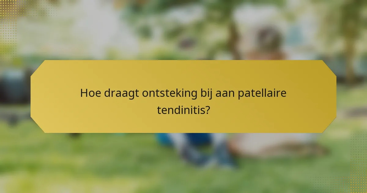 Hoe draagt ontsteking bij aan patellaire tendinitis?